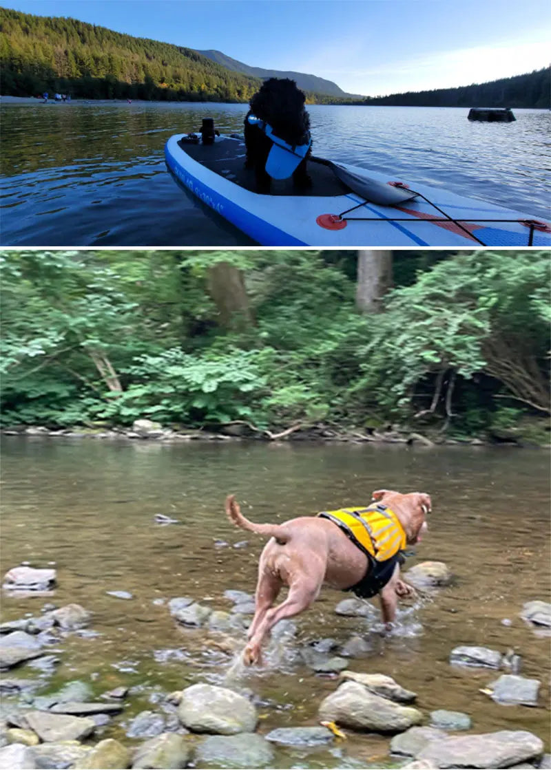 Pet Life Jacket New Reflective Outdoor Dog Clothes Pet Swimsuit Angel Wings Dog Life Jacket Summer Clothes Dog Clothes