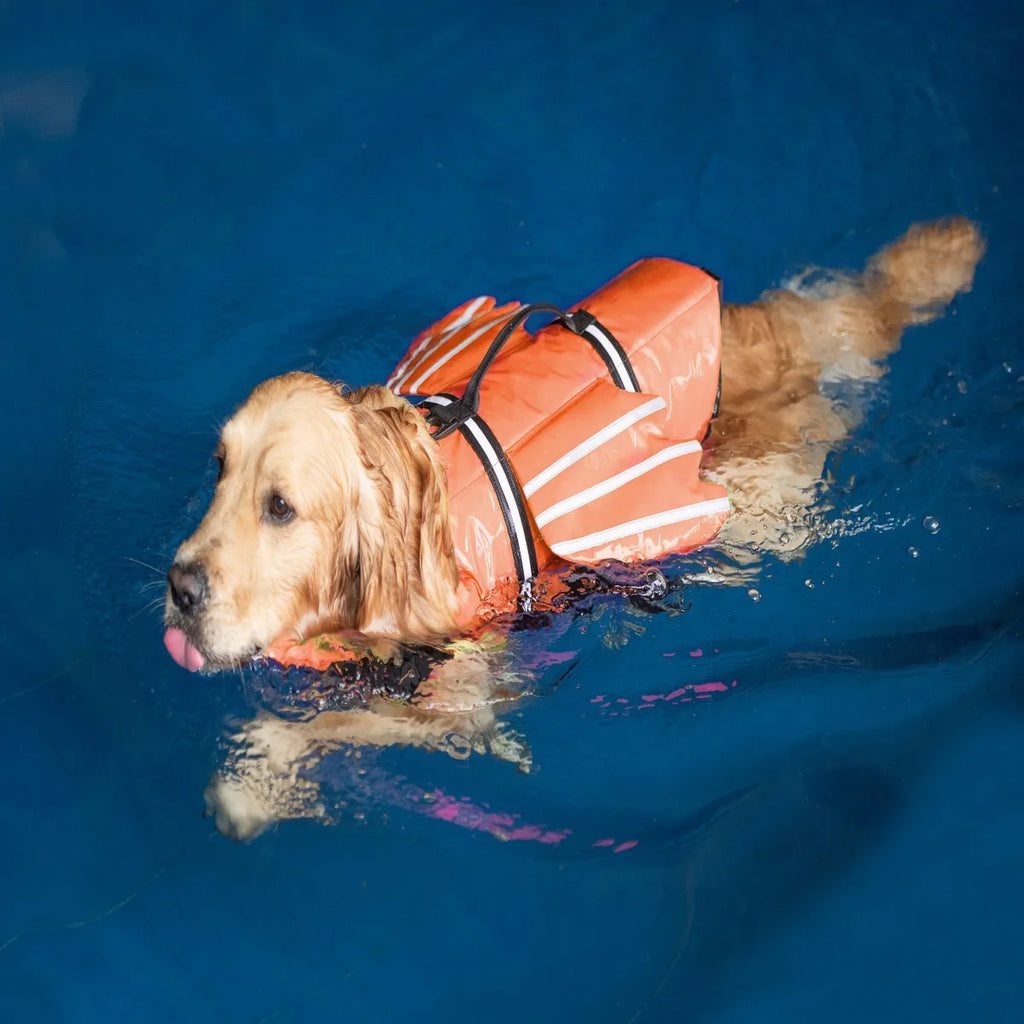 Pet Life Jacket New Reflective Outdoor Dog Clothes Pet Swimsuit Angel Wings Dog Life Jacket Summer Clothes Dog Clothes